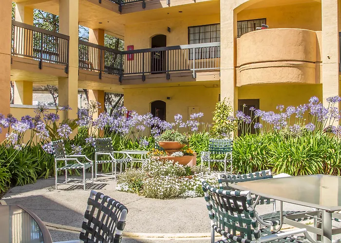 Comfort Inn & Suites San Francisco Airport North South San Francisco